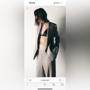 NWT Zara pants
